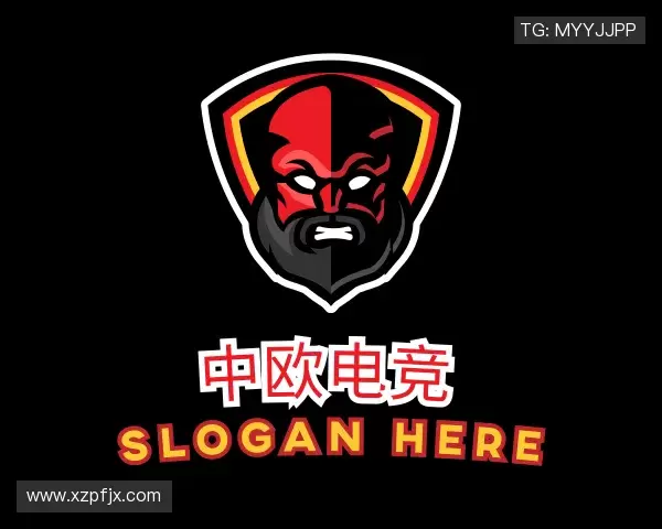 关于中欧电竞网址